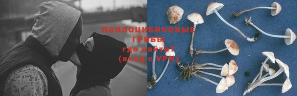 прущая мука Михайлов