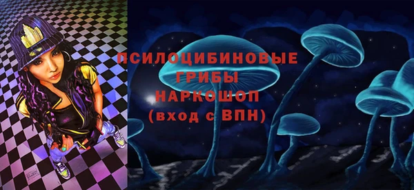 дживик Мегион