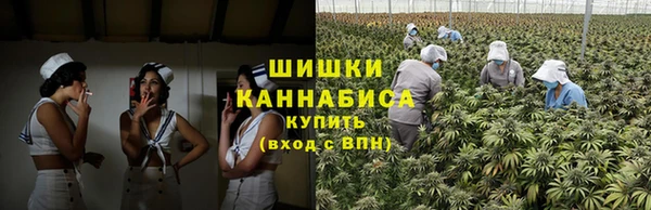 прущая мука Михайлов